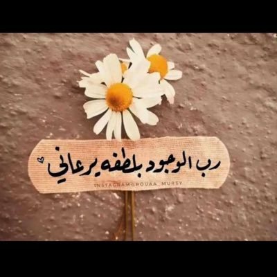 sln1632580's profile picture. 