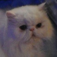 Simona 🇮🇹 (@princess211110) 's Twitter Profile Photo Simona 🇮🇹 (@princess211110) 's Twitter Profile Photo
