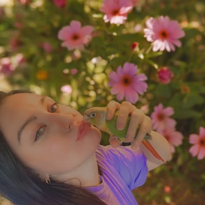 lauracloudy's profile picture. meet me in the afterglow