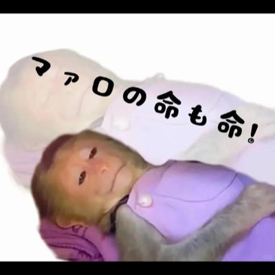 wuwu55233's profile picture. 