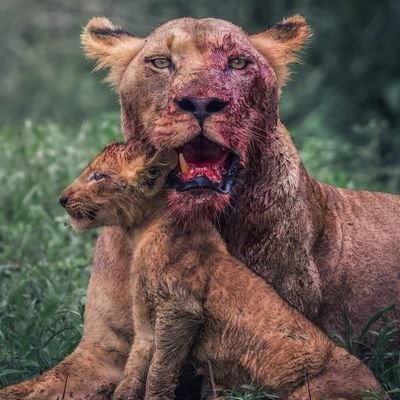 RefilweG4's profile picture. 