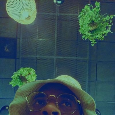 Kamikaze Monsutā Profile