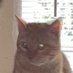 Carlos (@carlos608260543) Twitter profile photo Carlos (@carlos608260543) Twitter profile photo