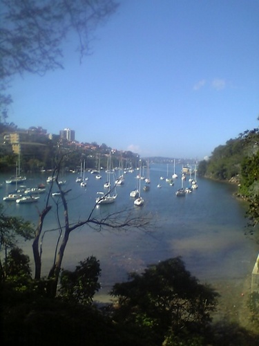 polirpolir's profile picture. 作ることも食べることも大好き。最近ベーグル作りとサーモンマリネ作りにハマってます。ワインも器も好き。