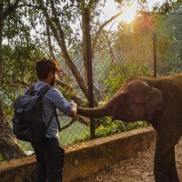 Shikhar Srivastava (@wildernesquest) 's Twitter Profile