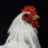tokebyhyquh's profile image