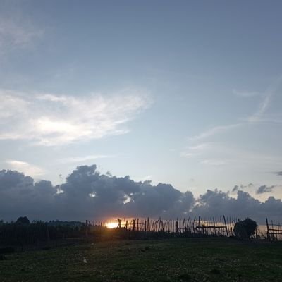 kayleb_israel's profile picture. Pharmacist 
Farmercist
Nature hound & Geopolitics aficionado