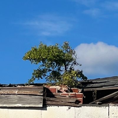 jobv_txt's profile picture. 