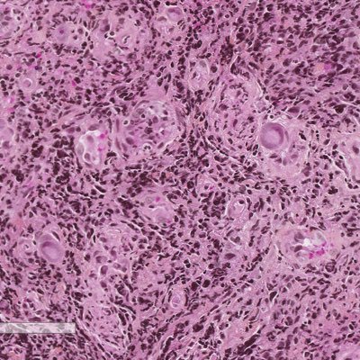 dr_mobarki's profile picture. Pathologist