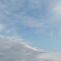 ふんころがし (@funfuncoro) 's Twitter Profile