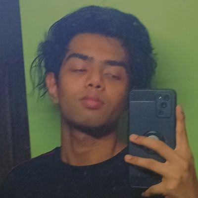 building cool shi | agent dev at @no_doxx | prev @getalchemyst | building @AlphaScanAI @altnode_dev | 11x hackathon Ws | aiml mentor @gdg_hitk | memento mori