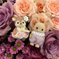 เฑจเง (@mysweetmell) 's Twitter Profile Photo เฑจเง (@mysweetmell) 's Twitter Profile Photo
