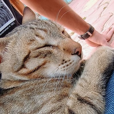 aryan_ar0ra's profile picture. 