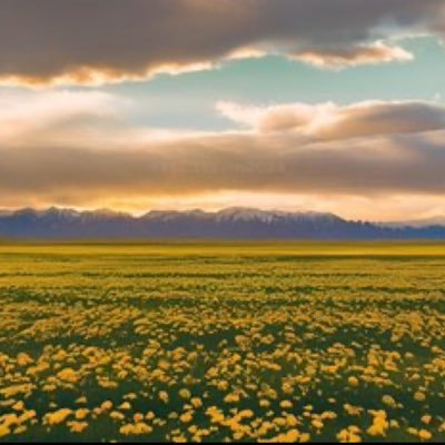 dildaroremar30's profile picture. 