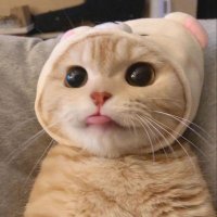 Rempo (@keys0321) 's Twitter Profile