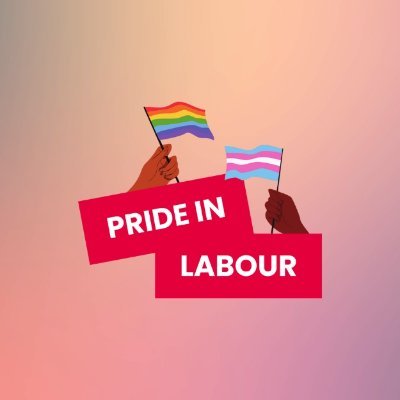 Pride in Labour ๐ ๐น Profile