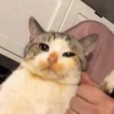 mas3444e's profile picture. 