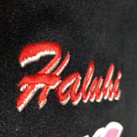 HALUHI@高校野球・中学野球 (@iambanekko) 's Twitter Profile Photo