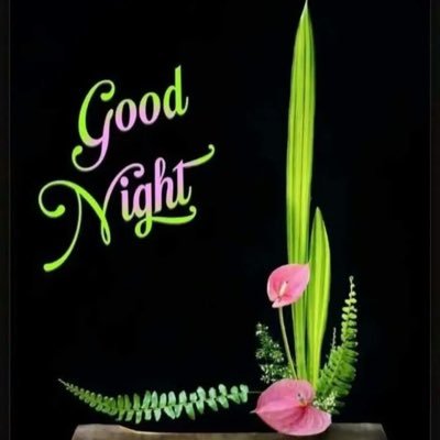 Amaljose3780's profile picture. 