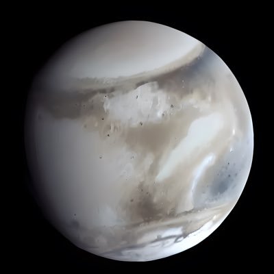 Calcan_MKD's profile picture. 