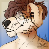 W3ndyLight (@w3ndygolden) 's Twitter Profile