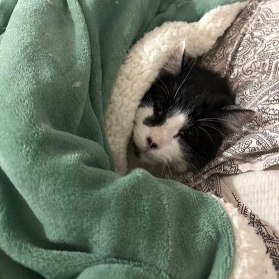 javsmink's profile picture. 