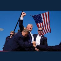 Denny Green (@dennygr28530407) 's Twitter Profile