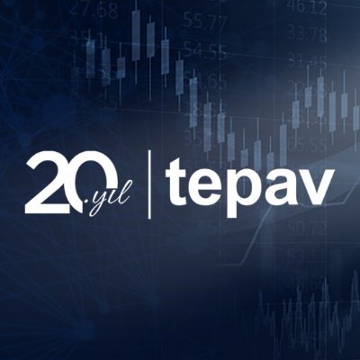 tepav Profile