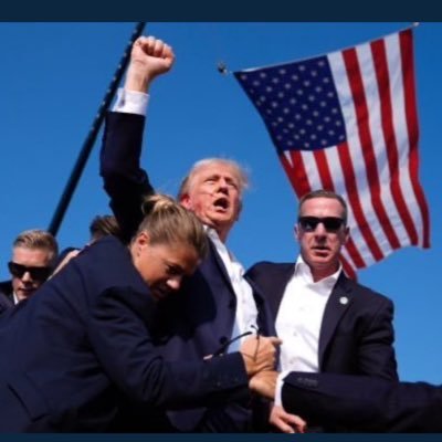 SarahReinecke11's profile picture. 