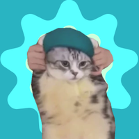 $ZIRCAT 😼 (@zircatcoin) 's Twitter Profile Photo $ZIRCAT 😼 (@zircatcoin) 's Twitter Profile Photo