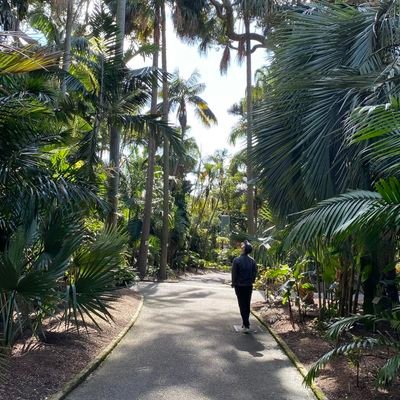 Plant Bacteriologist at Fera.
He/him.
Sporadic tweeter.
🦠🧫🌱