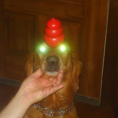 auggiesnoise's profile picture. Wife, mom, geek, bibliophile, wanderer in my heart. Searching for the winning lottery ticket to enjoy all in peace.