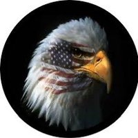 MOPatriotQueen (@mopatriotqueen) 's Twitter Profile