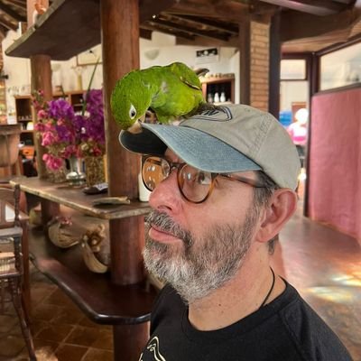 Father, Engineer, Coder, Administrator, Sarcastic, Opinionated. Fan of my kids, burgers, pizza, Calvin, Fluminense & The Beatles.