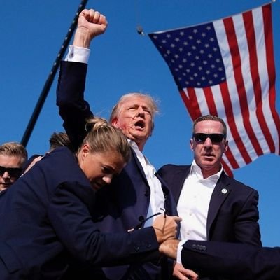 I support Trump 100%! The Deep State, crooked media and pedophiles HAVE NO PLACE IN AMERICA! 🇺🇲🇺🇲🇺🇲 #MAGA #MAHA.....and I love dogs.