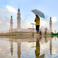 نور المدينة'والوطن (@sarayasaad) 's Twitter Profile
