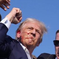 U (@berniehad48sec) 's Twitter Profile Photo