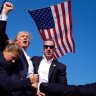 Mtbmiker's profile picture. I Stand with President Trump. “Fight Fight Fight” DJT