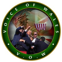 Voice Of Wales (@vowalesofficial) 's Twitter Profile