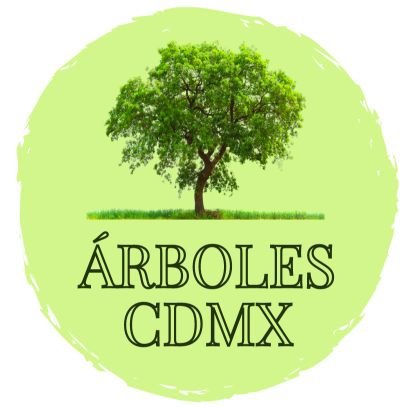 Árboles, árboles y más árboles, a veces arboricultura y plantas.
Fb, Ig, TikTok: @arbolescdmx
🌲🌳🌴🌿☘️🍀🌲🌳🌴