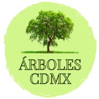 🍉 Árboles de la Ciudad de México 🍉 (@arbolescdmx) 's Twitter Profile