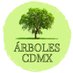 🍉 Árboles de la Ciudad de México 🍉 (@arbolescdmx) Twitter profile photo 🍉 Árboles de la Ciudad de México 🍉 (@arbolescdmx) Twitter profile photo