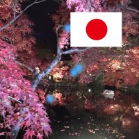 spring x (@xpsspring) 's Twitter Profile