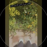 رانيا 🦋 (@3brania) Twitter profile photo