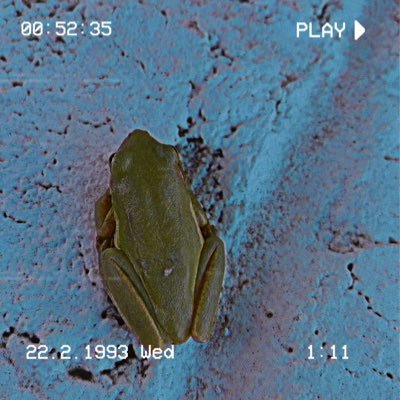 Seanlst1's profile picture. 