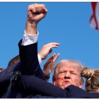 cellsolaE's profile picture. 