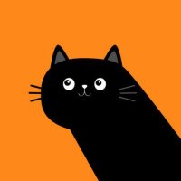 $DONG (Dark Long Cat) (@darklongcoin) Twitter profile photo