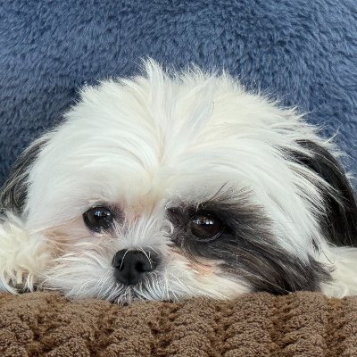 Caliphotoglady's profile picture. 