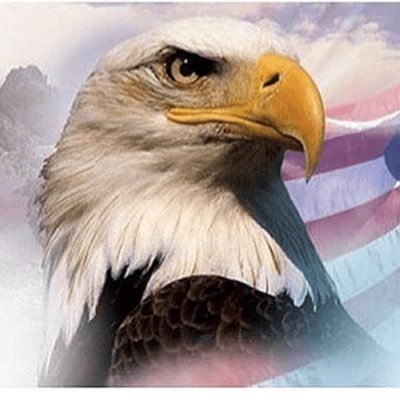DLOB71's profile picture. Independent Conservative Patriot who identifies as an American Patriot & supporter of US Constitution, LEA/LEO, Military & 1st Responder’s, NO DM’s!