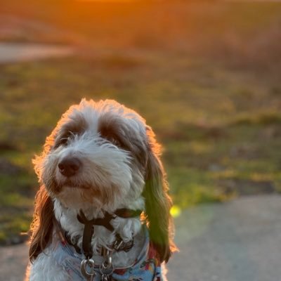 LeeMatthews916's profile picture. 